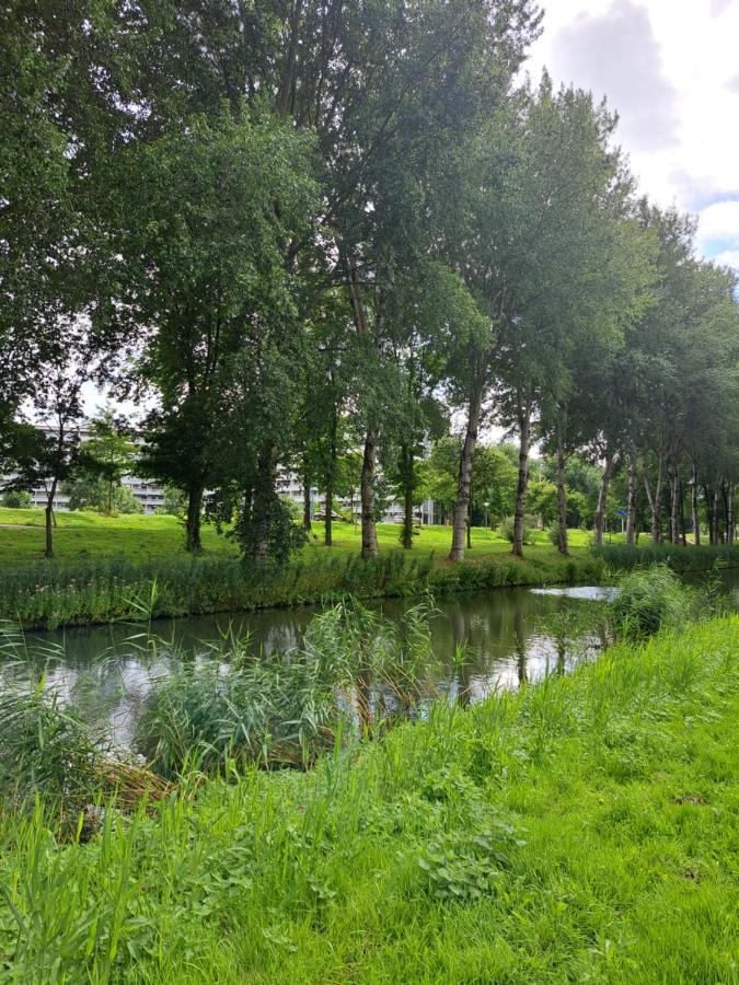 Dubbelink 3a * Ámsterdam